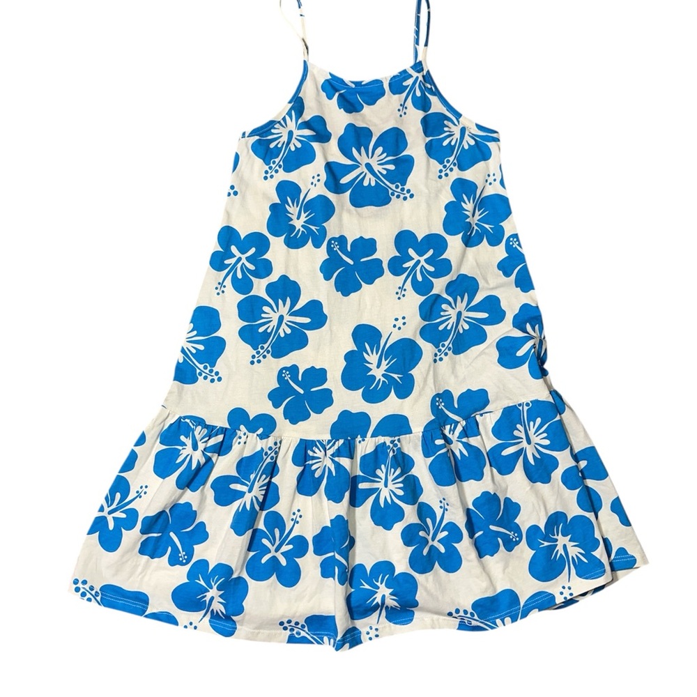 Zara Blue and White Patterned Dress